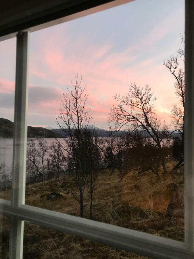 Kvaloya Lodge Futrikelv Kültér fotó