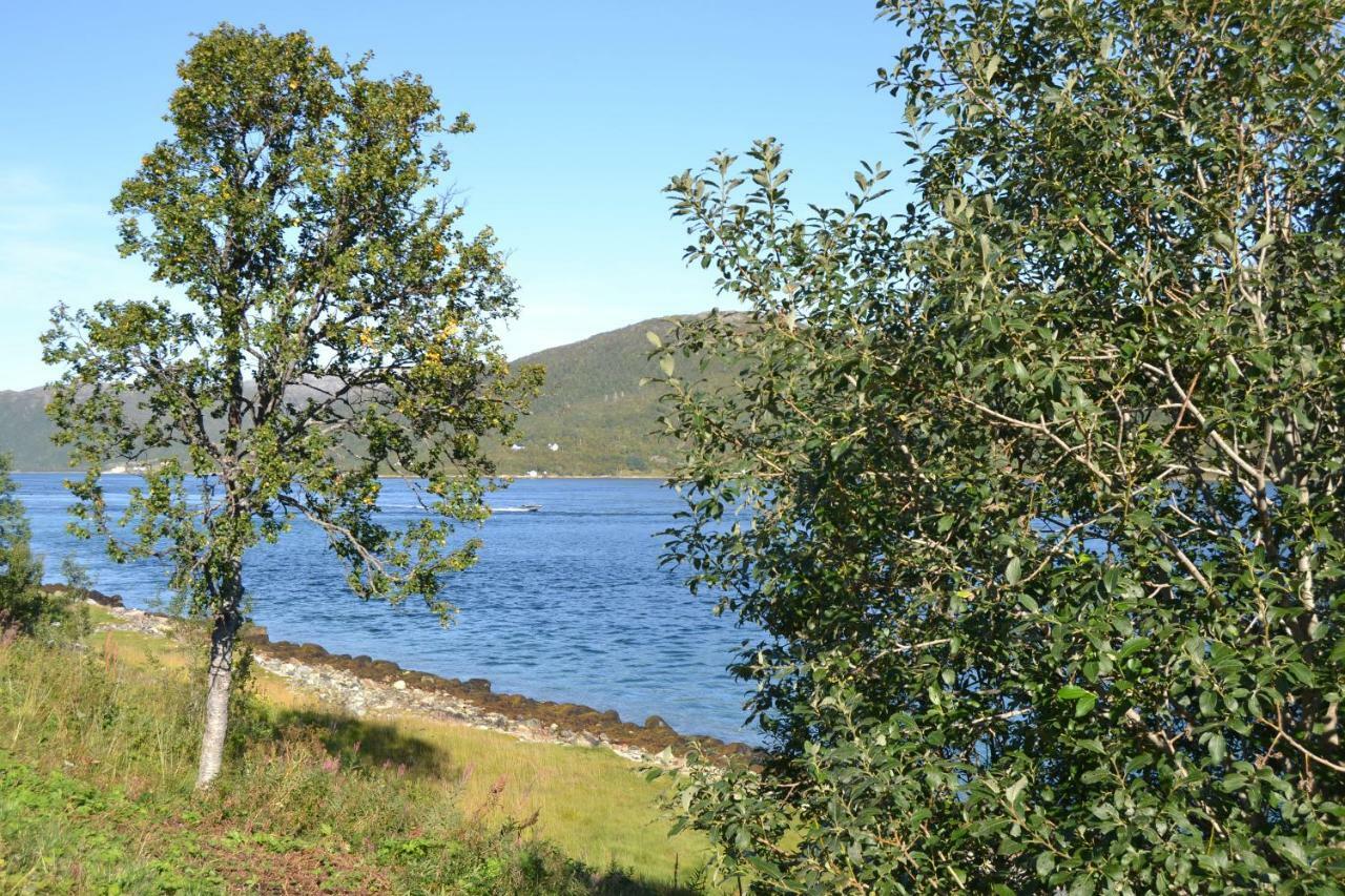 Kvaloya Lodge Futrikelv Kültér fotó